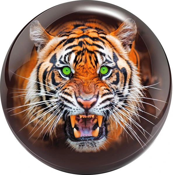 Brunswick Tiger Viz-A-Ball 4 Brunswick Tiger Viz-A-Ball - Image 2