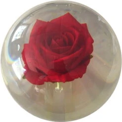 KR Strikeforce Clear Red Rose Ball -Bowling Equipment Store c8fd4f9d 709e 47c9 979d ed43388d6ea4