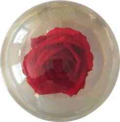 KR Strikeforce Clear Red Rose Ball -Bowling Equipment Store cd5d37b4 48ea 453c 8e46 5a18d37685f1